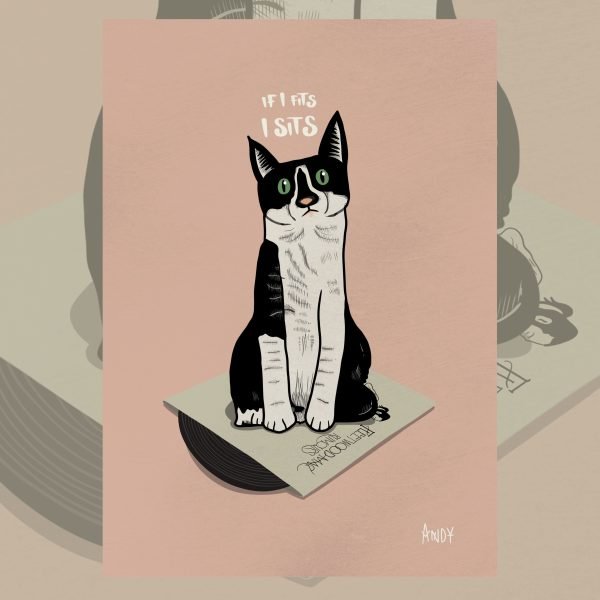 black and white cat on album